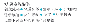 鋼絲繩索具配件