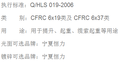 滿充式鋼絲繩